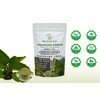 100g Kalanchoe Pinnata Leaves Powder - 100% Pure, Organic Dried