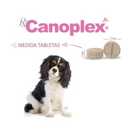 Holland Canoplex Jr. Vitamínico Mineral con ácidos grasos Omega 3, prebióticos. 30 Tabletas