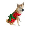 ComfyCamper Dog Gift Christmas Costume - Xmas Present Santa Claus