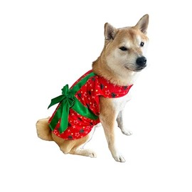 ComfyCamper Dog Gift Christmas Costume - Xmas Present Santa Claus Elf Holiday Outfit Clothes Shirt Accessories, S