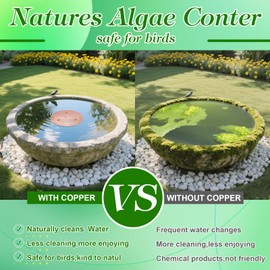 Bird Bath Copper Disk, Sturdy 1mm 99.9% Pure Copper Disk, Triple-Point Support Ensures Clean Water Year-Round, Fits Most Outdoor Birdbath Bowls (2)