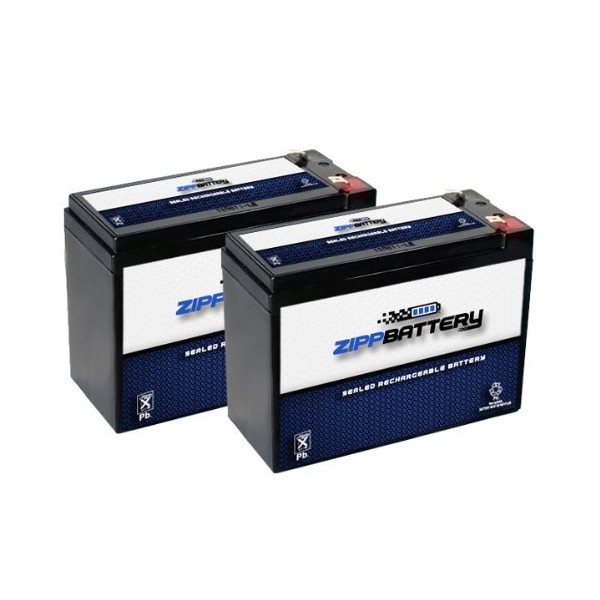 12V 10AH SLA Battery Replaces REC10-12 ES10-12S PSH-12100F2 UB12100-S - 2PK