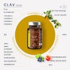All Day Multi - A-Z Multivitamins and Minerals - 30