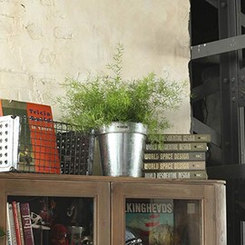 Dulton Garden Supplies Galvanized Pot Cover Height 8.7 inches (220 mm) Top Diameter 8.7 inches (220 mm) GALVANIZED POT COVER K865-1095-22