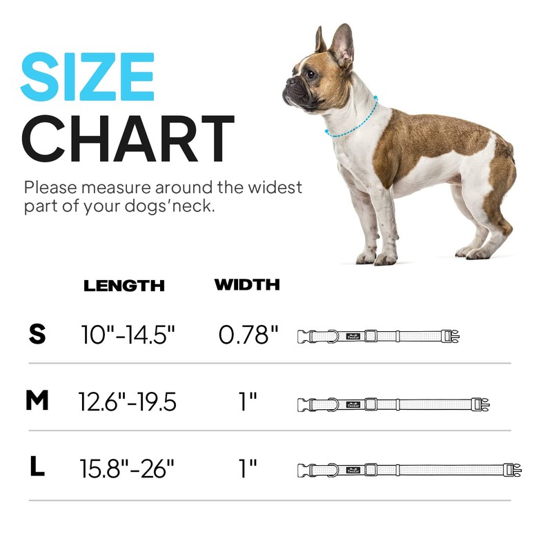 TwoEar Heavy Duty Dog Collar Reflective, Adjustable Nylon Pet Collar