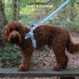 HUGO & HUDSON Easy Walk Dog Harness Adjustable No-Pull Step-in Training Vest, Aqua, Size 8