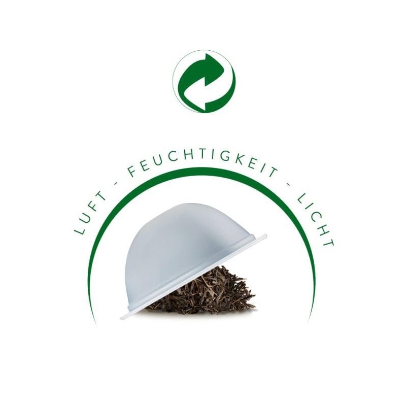 S.T English Breakfast 12 (10 x 2.5 g) XI