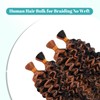 Ombre Brown Human Braiding Hair Water Wave 2 Bundles/Pack 100g