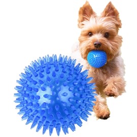 MUYYIKA Dog Toy, Ball, Sound Chewing Toy, Toothpaste, Natural Rubber, Elastic, Durable, Lack of Exercise, Stress Relief, Training, Educational Toy, Suitable for Small and Medium Dogs (Blue, Diameter