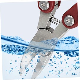 Healeved Stainless Steel Toenail Clipper Nail Trimmer for Thick Nails Ergonomic Design for Safe and Comfortable Use for Home and Salon Pedicure