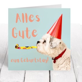 Felbridge Studio - Geburtstagskarte - Geburtstagskarte Frau - Geburtstagskarte Mann - Lustig Freundin Junge Papa Mama Hund - Geburtstagskarten - 18 21 30 40 50 60 - Geschenke Für Frauen Männer -14cm