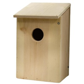 Screech Owl, Saw-Whet, and Kestrel House by Prime Retreat