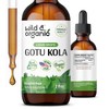Gotu Kola Drops - Organic Gotu Kola Herb Liquid Extract