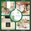 Citrus Magic Ambientador sólido absorbente de olores, bosque lluvioso de