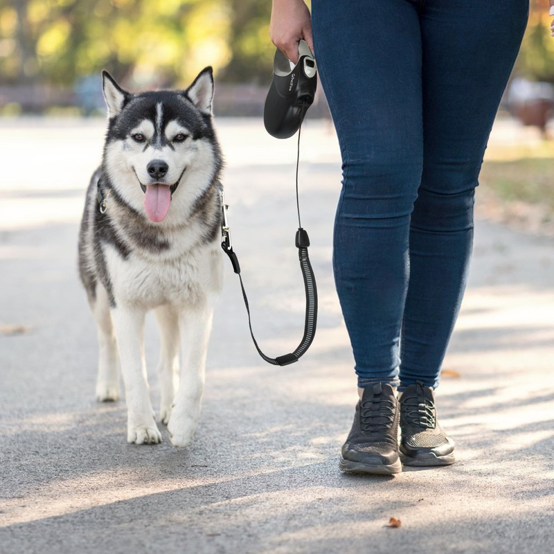 PetiFine Retractable Dog Leash,30 FT Heavy Duty Dog Walking Leash