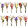 WGXX 12/24 Pack Dried Flowers for Vase Various Mini Bouquet