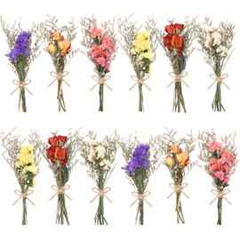 WGXX 12/24 Pack Dried Flowers for Vase Various Mini Bouquet Dried Small Wildflowers Natural Real Flowers Bulk for Crafts DIY Wedding Decor (12, Forget Me Not)