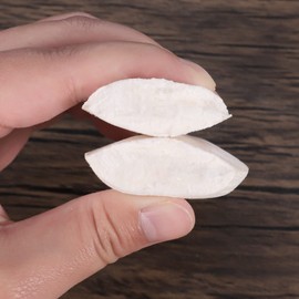 Dacitiery 1 Box Broken Cuttlefish Bone,Chew Toys for Birds Parrots Snails Tortoises Budgies