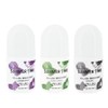 3 Pack MELAO Summer Time Roll-On Deodorant for Women &