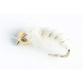 Blue Wing Olive BH Czech Mate Nymph Fly, 6-Pack (Cream, #16)