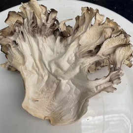 Maitake Mushroom Huishuhua (250g(8.82oz))
