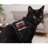 Retro Sunset Pew Pew MADAFAKAS Cat Tactical Embroidery Patch -