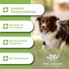 MEDIDOG Intestinal Active Drops - 400 g - Cold Pressed