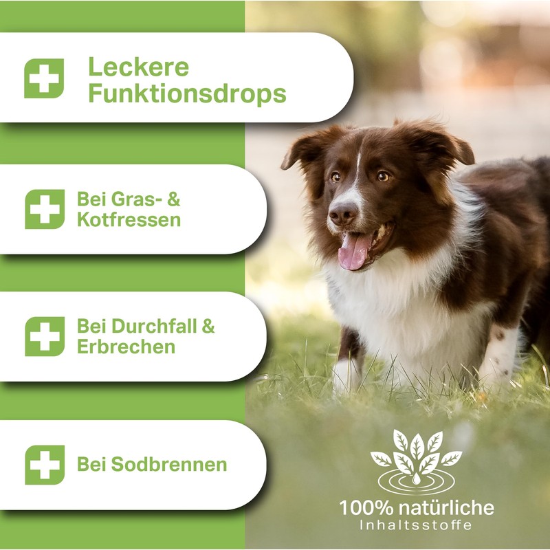 MEDIDOG Intestinal Active Drops - 400 g - Cold Pressed