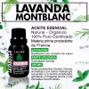 Laferv 4 Piezas De Aceite Esencial Orgánico Lavanda 15 Ml