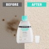 HAUSHOF 2-Pack 25 Fl Oz Spot & Stain Cleaner for