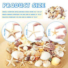 WEOXPR Mixed Seashells & Starfish Decor - 70 Pcs Assorted Sizes Natural Ocean Shells for Fish Tank, Vase Fillers, Beach Theme Party Wedding Decor, DIY Crafts, Candle Making, Home Decorations