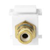 Skywalker F Female to RCA Female Keystone Insert with Blue