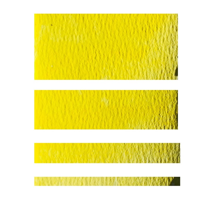 CSY art gallery Watercolor Paint (Essential)