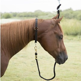 LBH Market Mustang Horse Collar 2-Pack (Black), 1" Wide Nylon Neck Strap for High Line Picket Line Tying and Grooming in Crossties for Horses, Includes Rubber Horse Face Brush