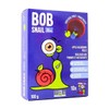 Bob Snail Fruit Roll 5 x 100g (Flavours), Mango