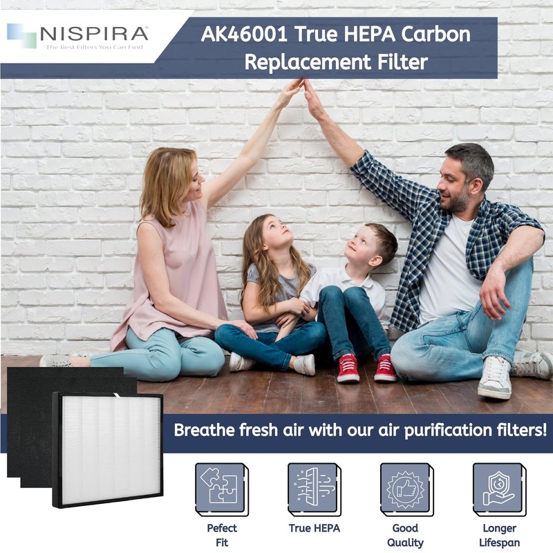 Nispira AK46001 Filter Replacement For Oreck Air Response Medium (WK16001)