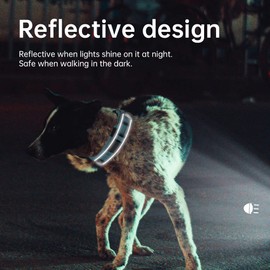 EXCELLENT ELITE SPANKER Reflective Dog Collar Classic Soft Padded Breathable Nylon Adjustable Pet Collar with Quick Release Buckle for Boy Girl Male Female Small Medium Large Dogs Training(Black-S)