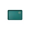 Tradition Acoustic PLATRAY Non-Slip Tray 9.4 inches (24 cm), Green,