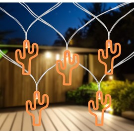 Northlight 10-Count LED Orange Cactus Fairy Lights - Warm White