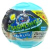 Wicked Cool Toys Crashlings Sea Life Mystery Pack