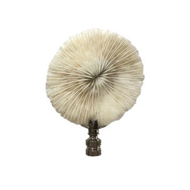 Royal Designs Natural Coral 3.75 Lamp Finial for Lamp Shade, White Mushroom Coral, Silver Plated Base