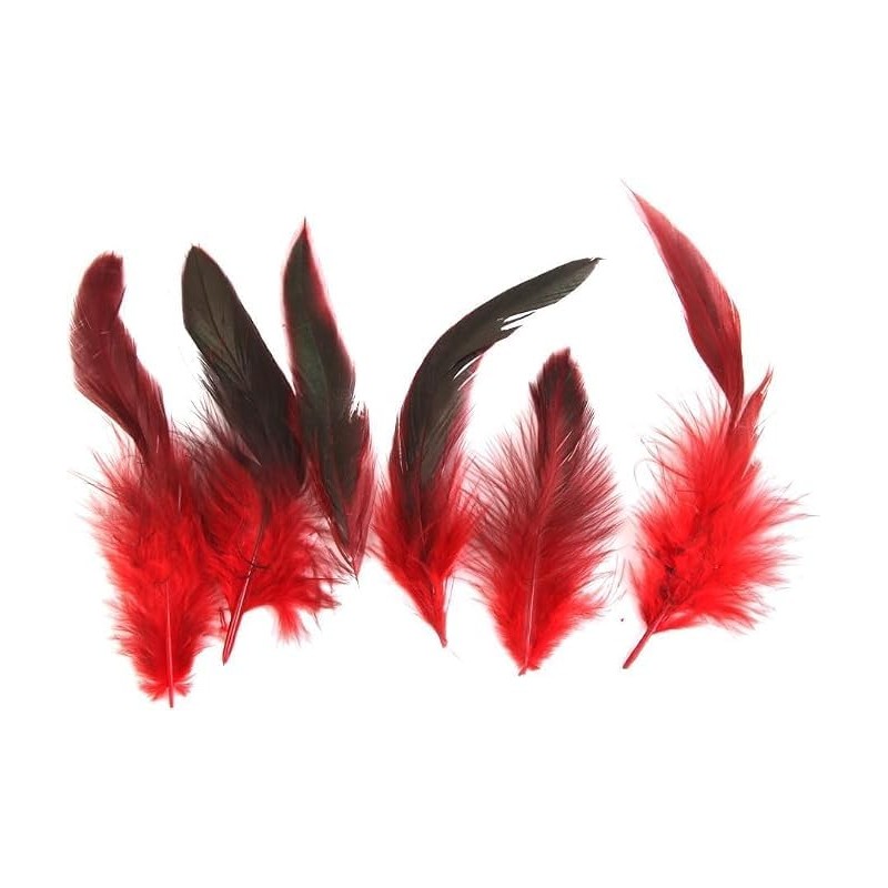 50 Red Feather Nature Feather Carnival Halloween Costume, Handicrafts, Painting