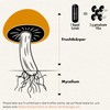 SOLVE Labs ● Premium Siberian Chaga Mushroom Capsules ● 10%