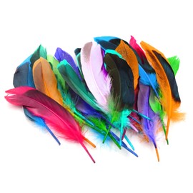 HDGSAFD 50 Pieces Colorful Feathers Feather Sticks Feather Art Decoration Natural Mixed Feathers Crafts Jewelry Accessories DIY Craft Decoration