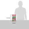 Tootsie Roll Watermelon Frooties - Tootsie Roll Chewy Candy -