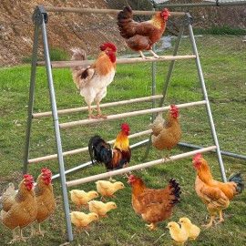 No Brand Chicken Perch Ladder for Coops, Chicken Roosting Bars, Wooden Chicken Perch