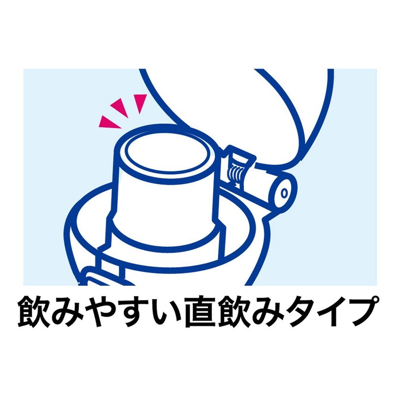 スケーター (skater) 子供用 プラスチック 水筒 ラプンツェル ディズニー 2020年 新デザイン 480ml
