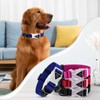 Luminous Dog Collar Adjustable Soft Cotton Dog Collar for Dogs
