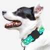 SWINCHO for AirTag Dog Collar Holder [2 Pack] Waterproof High-Strength