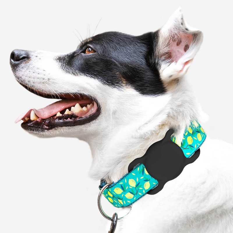 SWINCHO for AirTag Dog Collar Holder [2 Pack] Waterproof High-Strength